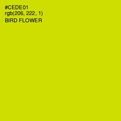 #CEDE01 - Bird Flower Color Image